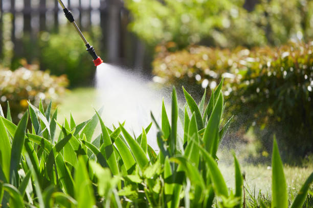24/7 Emergency Mosquito Control experts in Aberdeen, SD